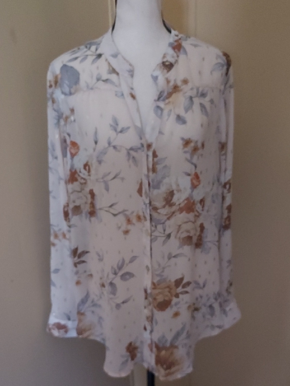 Hope Springs Light Floral Print Sheer  Long-Sleeve Blouse
